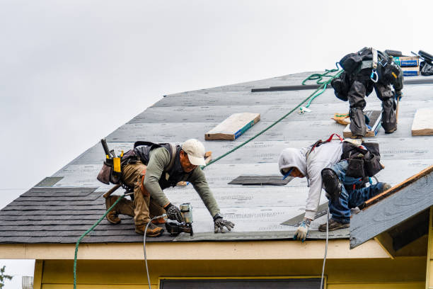Professional Roofing technician working in North Street, MI