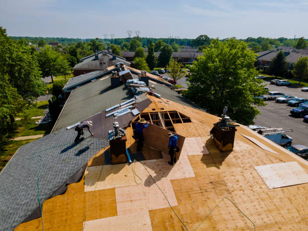 Trusted Roofing service in North Street, MI - Brentwood Metal Roofing